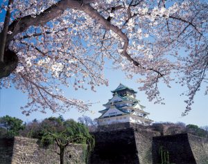 Burg von Osaka während der Kirschblüte, ©JNTO