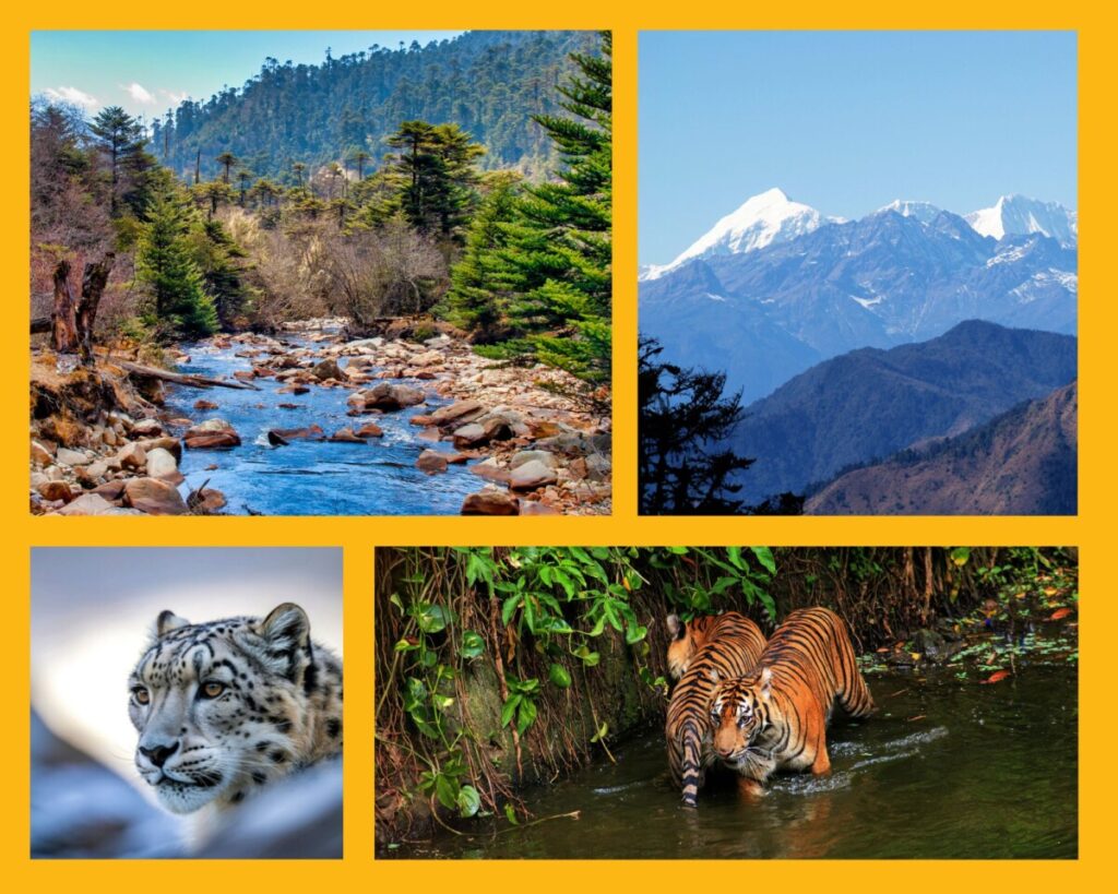 Wilde Landschaften in Bhutan und eine spektakuläre Tierwelt mit Schneeleoparden und Bengalischen Tigern