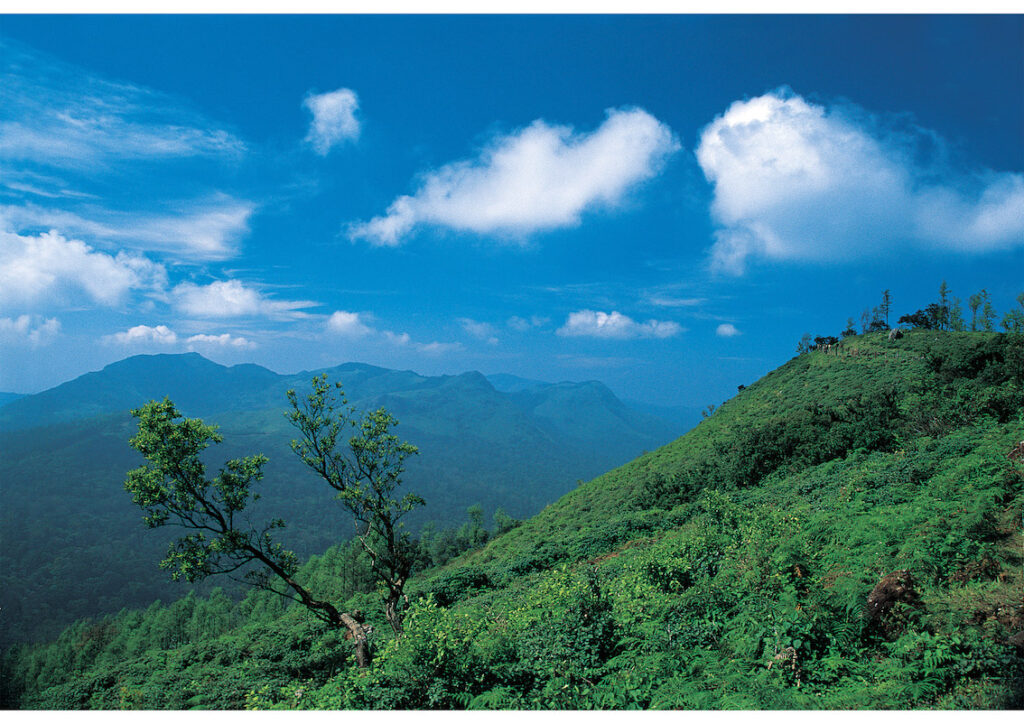 Landschaft Coorg in Karnataka Copyright @ India Tourism