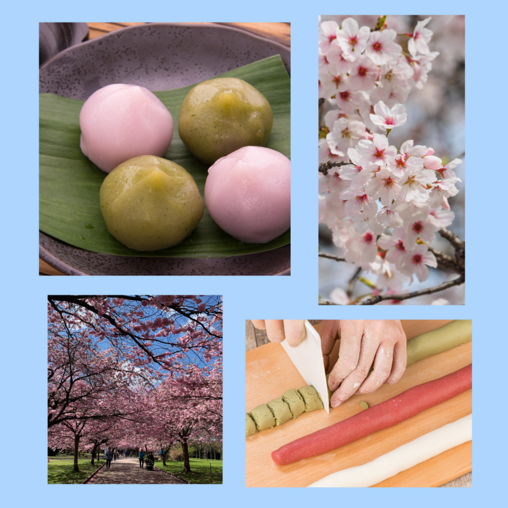 Hanami Dango-Spezialität während des Hanami Festes der japanischen Sakura