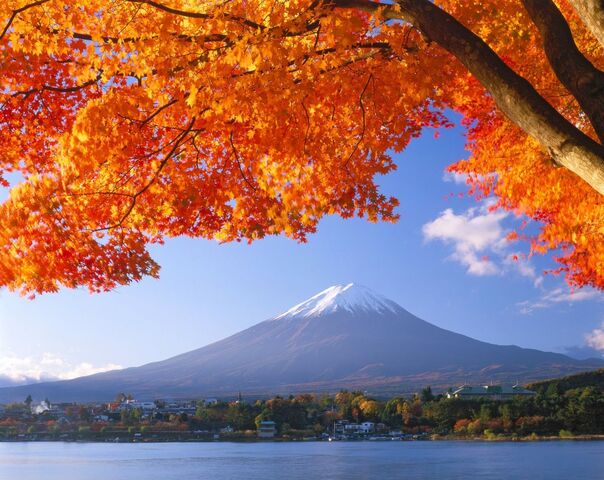 Vulkan Fuji mit Herbstlaub
