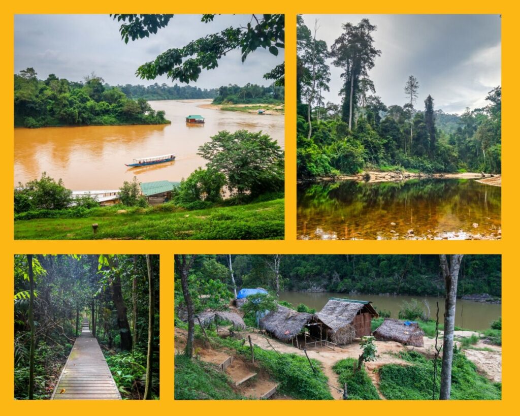 Taman Negara Nationalpark: Fluß, Regenwald und Holzstege