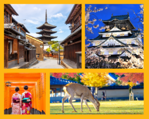 Eine traditionelle Gasse in Kyoto mit Pagode, das Osaka-Schloss bei Abenddämmerung, zwei Frauen in Kimono in einem Torii-Gang und ein Reh im Nara-Park