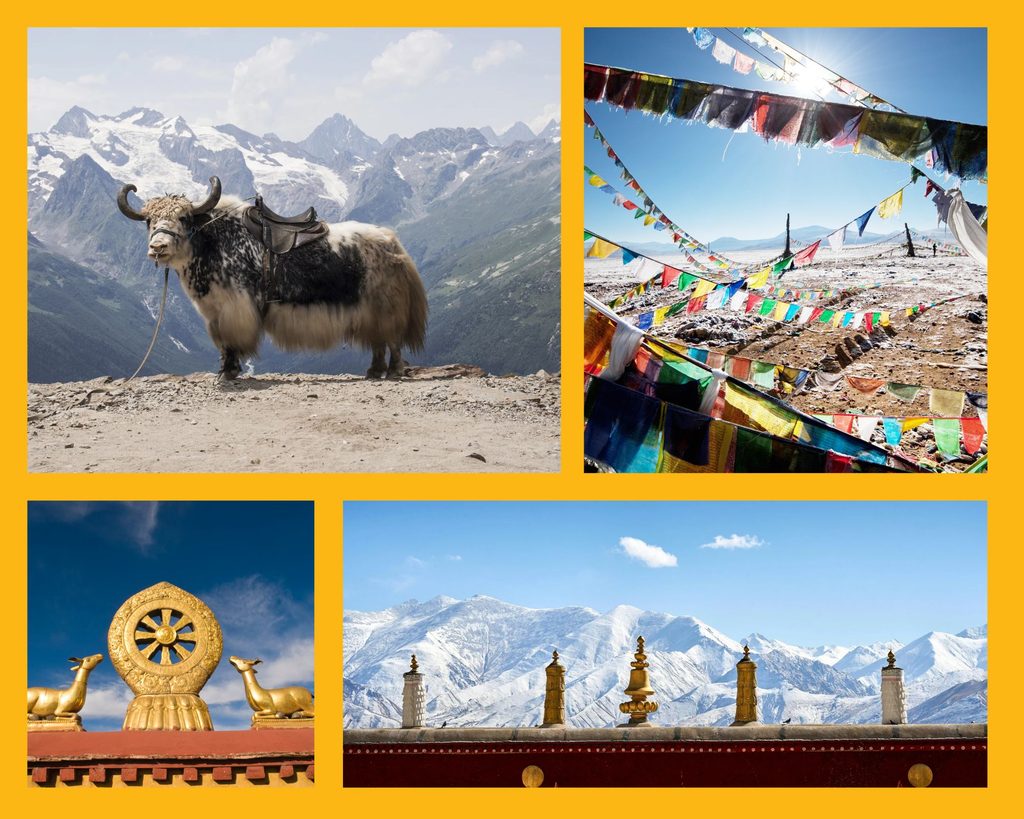 Gewaltige Berglandschaften und eine allgegenwärtige Spiritualität prägen Tibet: Berglandschaften mit Yak und Gebetsfahnen, Dharma-Rad und Stupas
